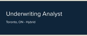 Read more about the article Underwriting Analyst